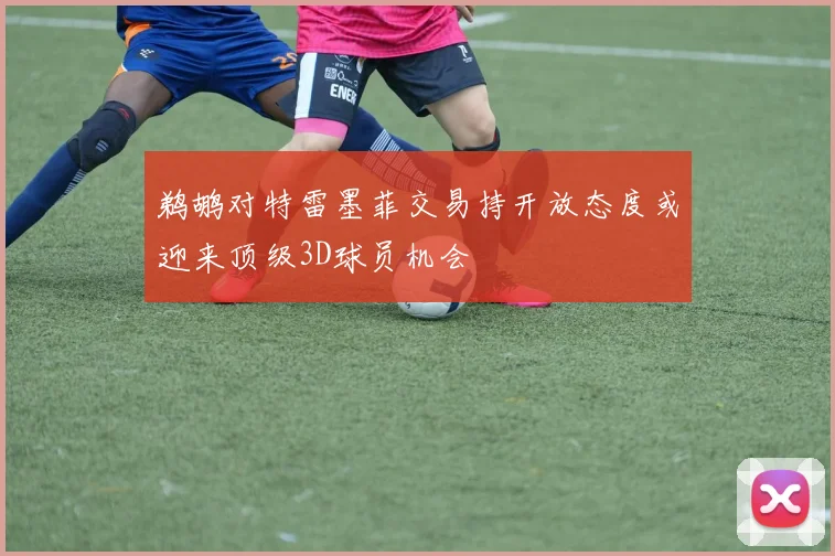 鹈鹕对特雷墨菲交易持开放态度或迎来顶级3D球员机会