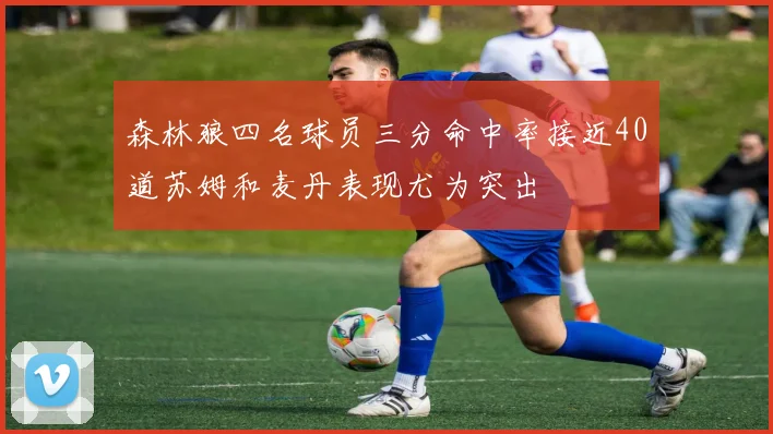 森林狼四名球员三分命中率接近40道苏姆和麦丹表现尤为突出