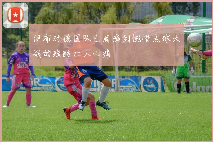 伊布对德国队出局感到惋惜点球大战的残酷让人心痛